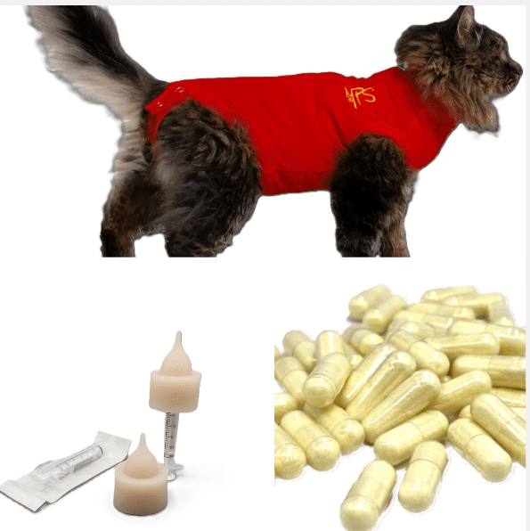 Kit XS pour chatte gestante avec incompatibilité du groupe sanguin